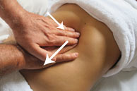 Abdominal Massage Workshops