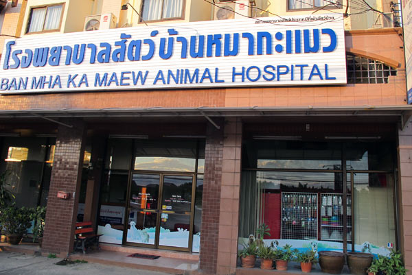 Ban Mha Ka Maew Animal Hospital