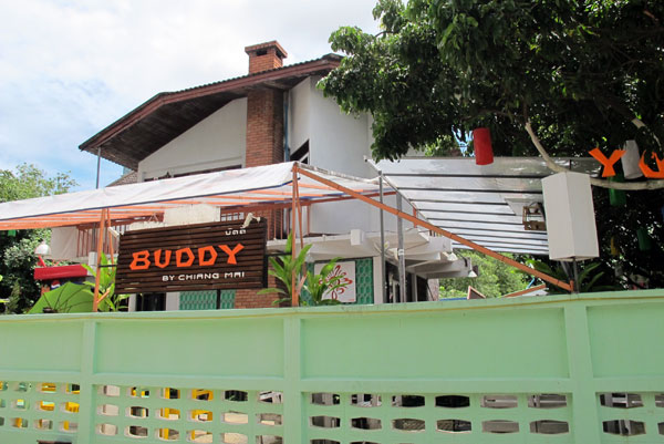 Buddy by Chiang Mai