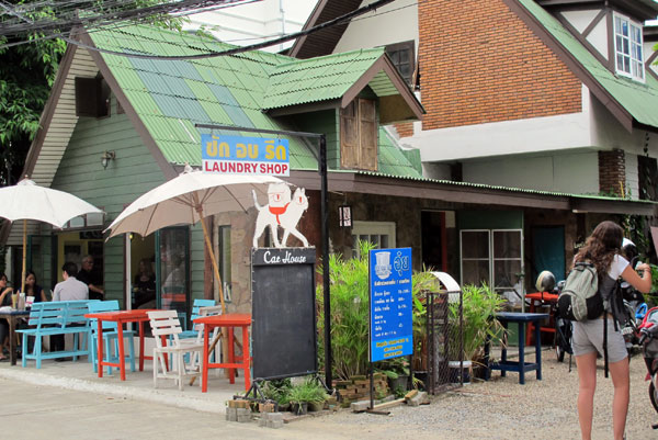 Cat House Chiang Mai