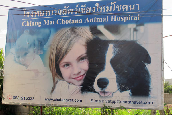 Chiang Mai Chotana Animal Hospital