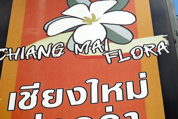 Chiang Mai Flora