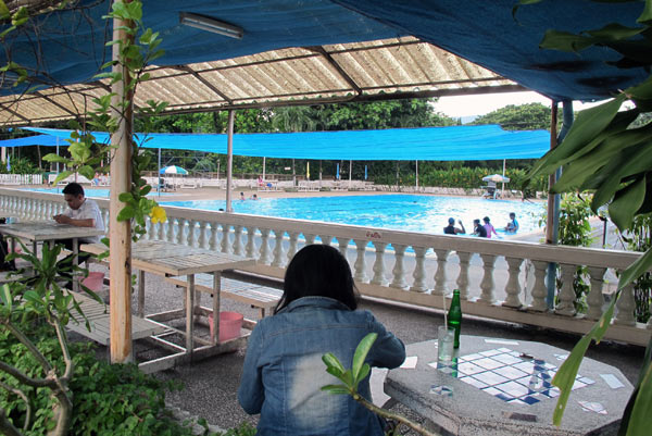 Chiang Mai Land Swimming Pool