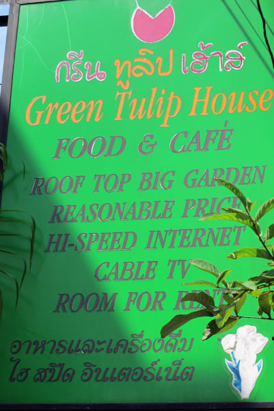 Green Tulip House