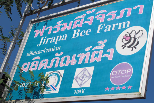 Jirapa Bee farm
