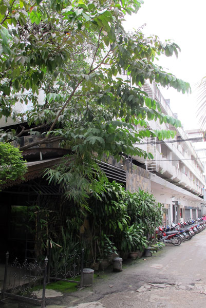 Lotus Hotel (Viangbua Rd)