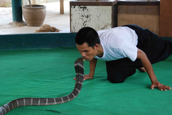 Mae Sa Snake Farm