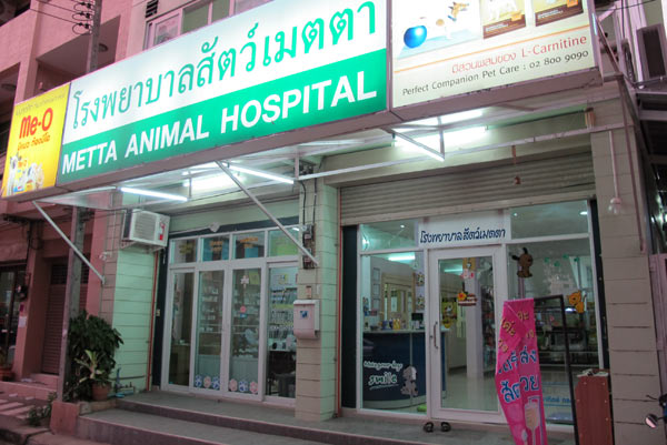 Metta Animal Hospital @Chiang Mai Land