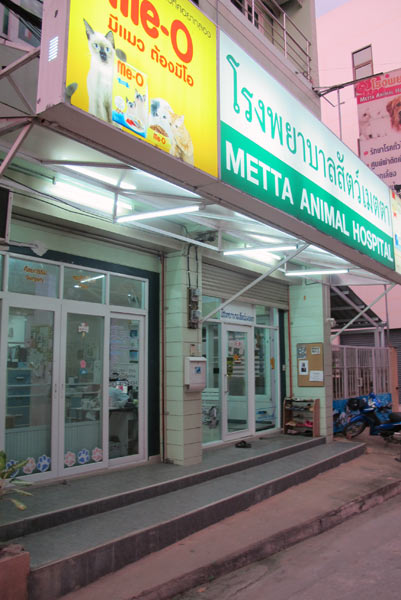 Metta Animal Hospital @Chiang Mai Land