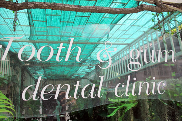 Tooth & Gum Dental Clinic