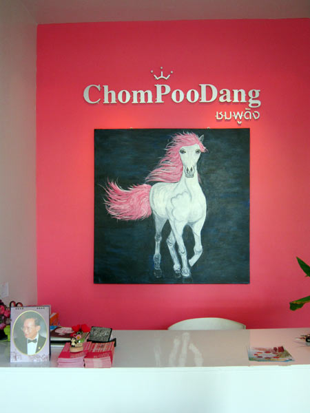 Chom Poo Dang @Punna Place Nimman Soi 6