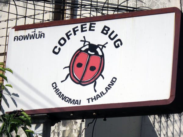 Coffee Bug