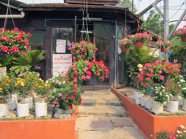 Hair Blue Barber @Kamthieng Flower Market