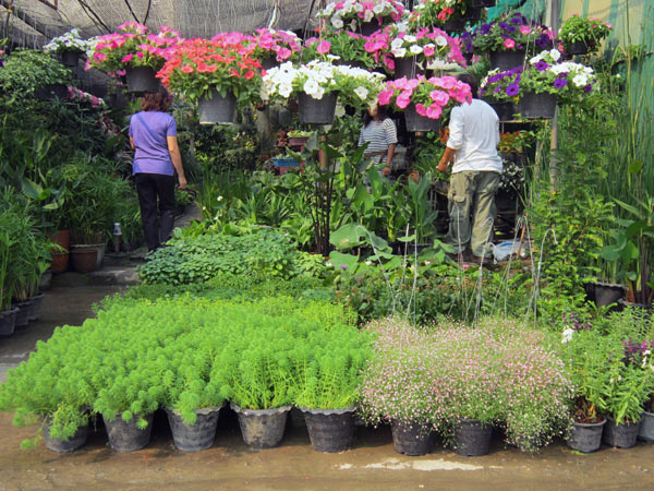 Kamthieng Flower Market