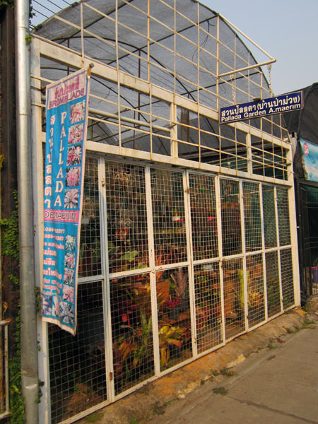 Pallada Garden @Kamthieng Flower Market