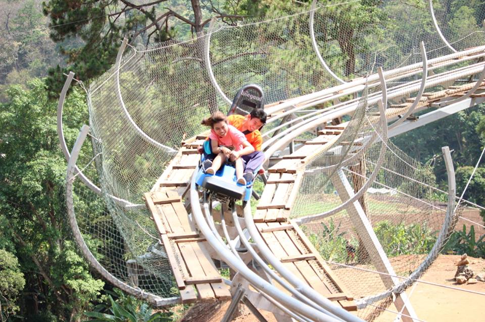 Pongyang Zipline & Jungle Coaster