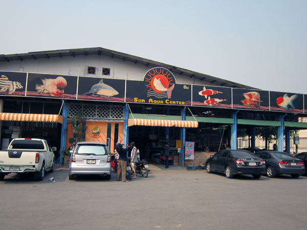 Sun Aqua Center @Kamthieng Flower Market