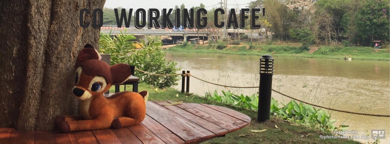 Co-working Cafe