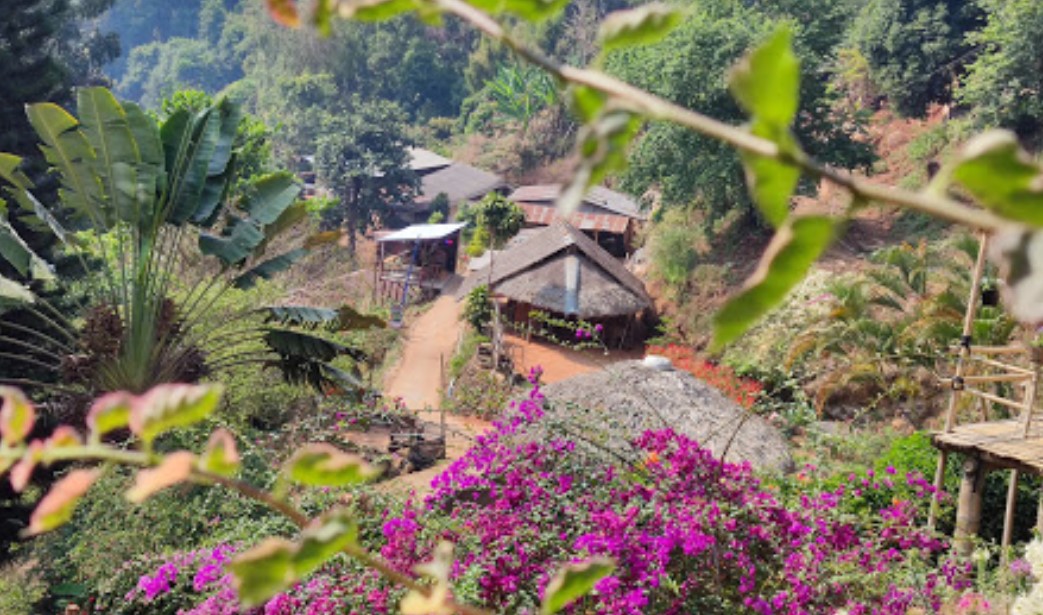 Ban Doi Pui Flower Garden Museum