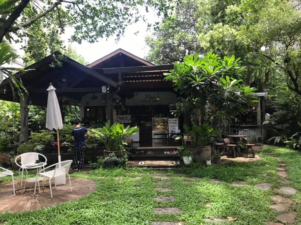 Biguri in Chiang Mai