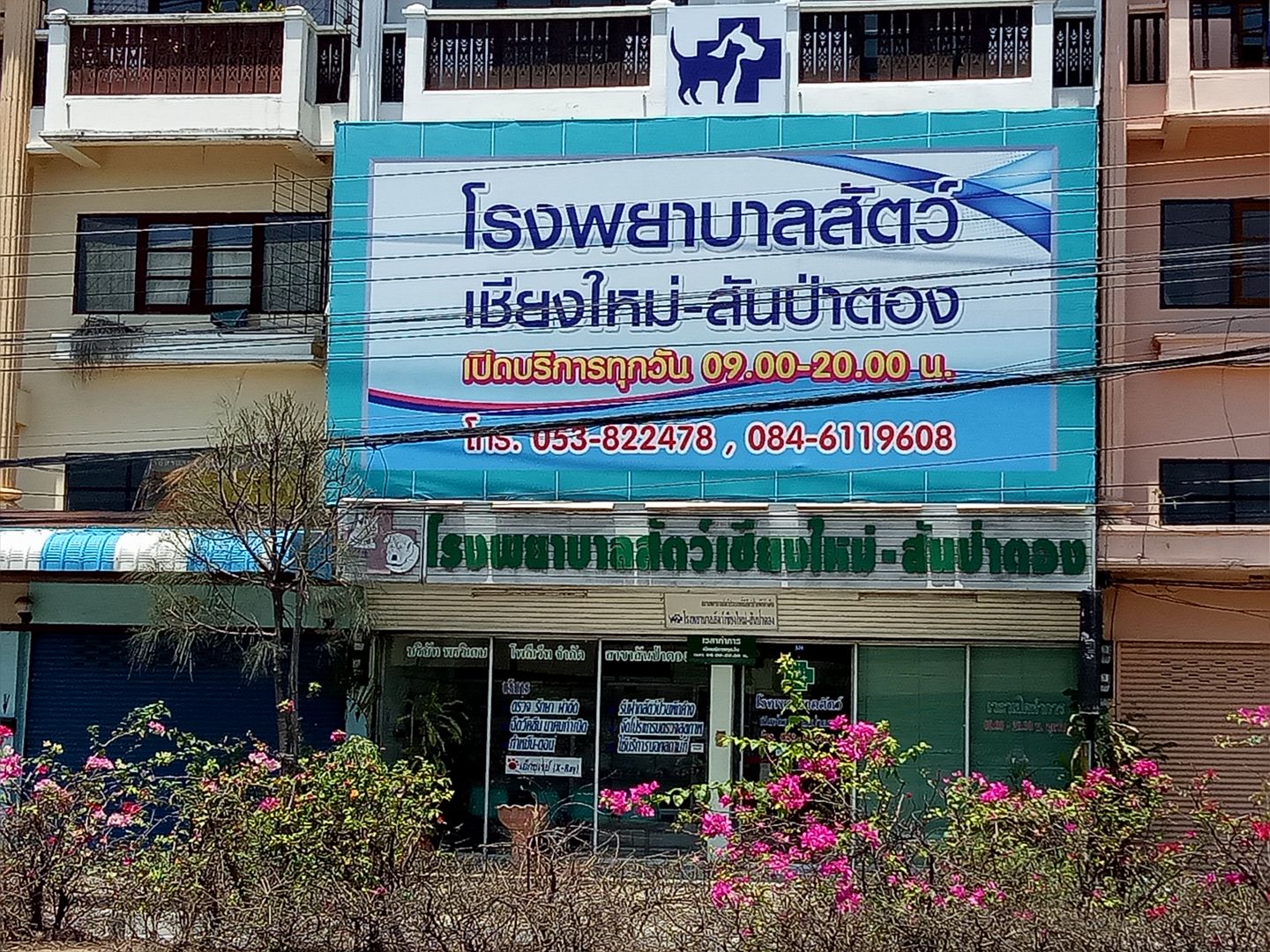 Chiang Mai San Pa Tong Animal Hospital