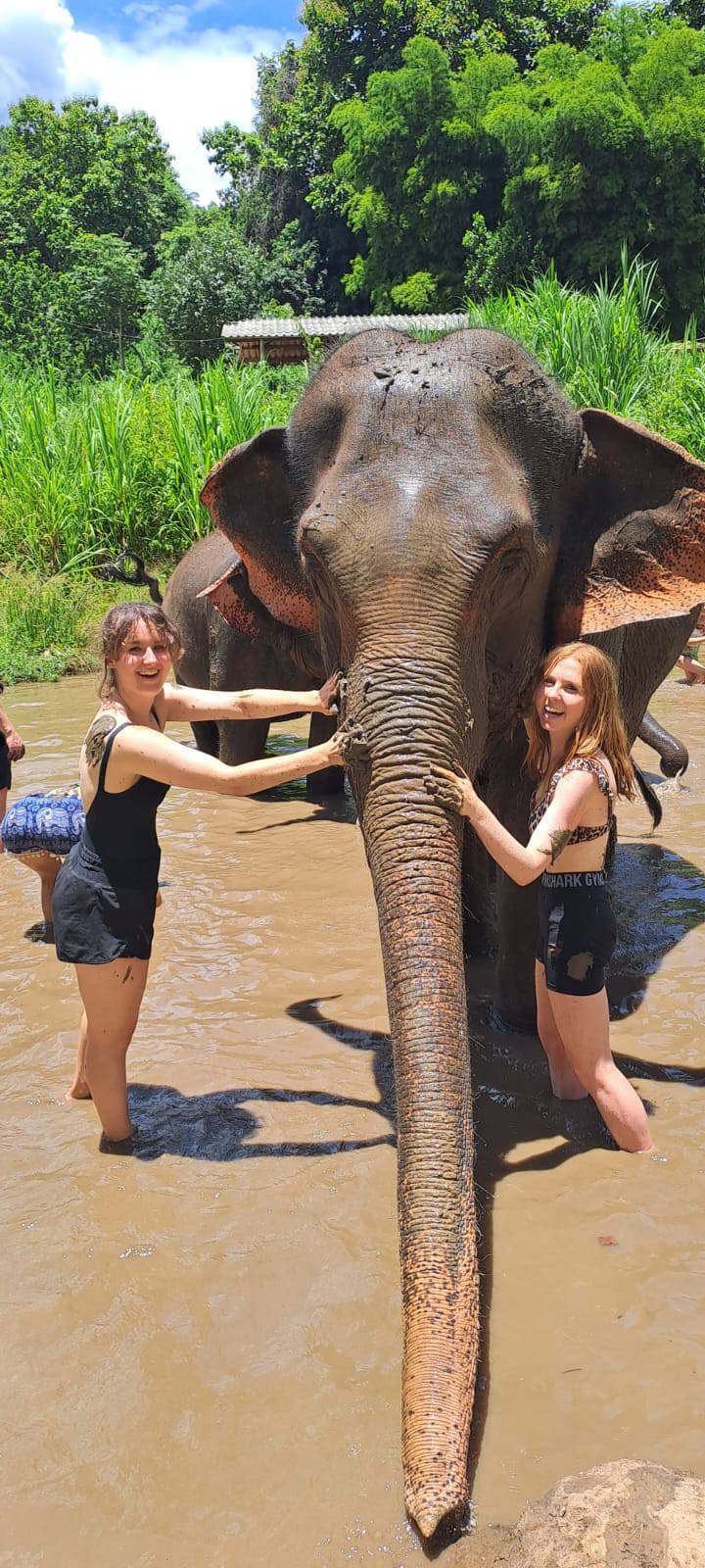 Elephant Chiang Mai Tour