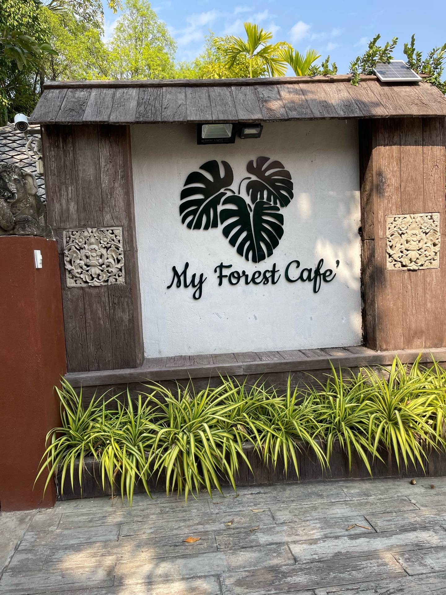 My Forest Cafe