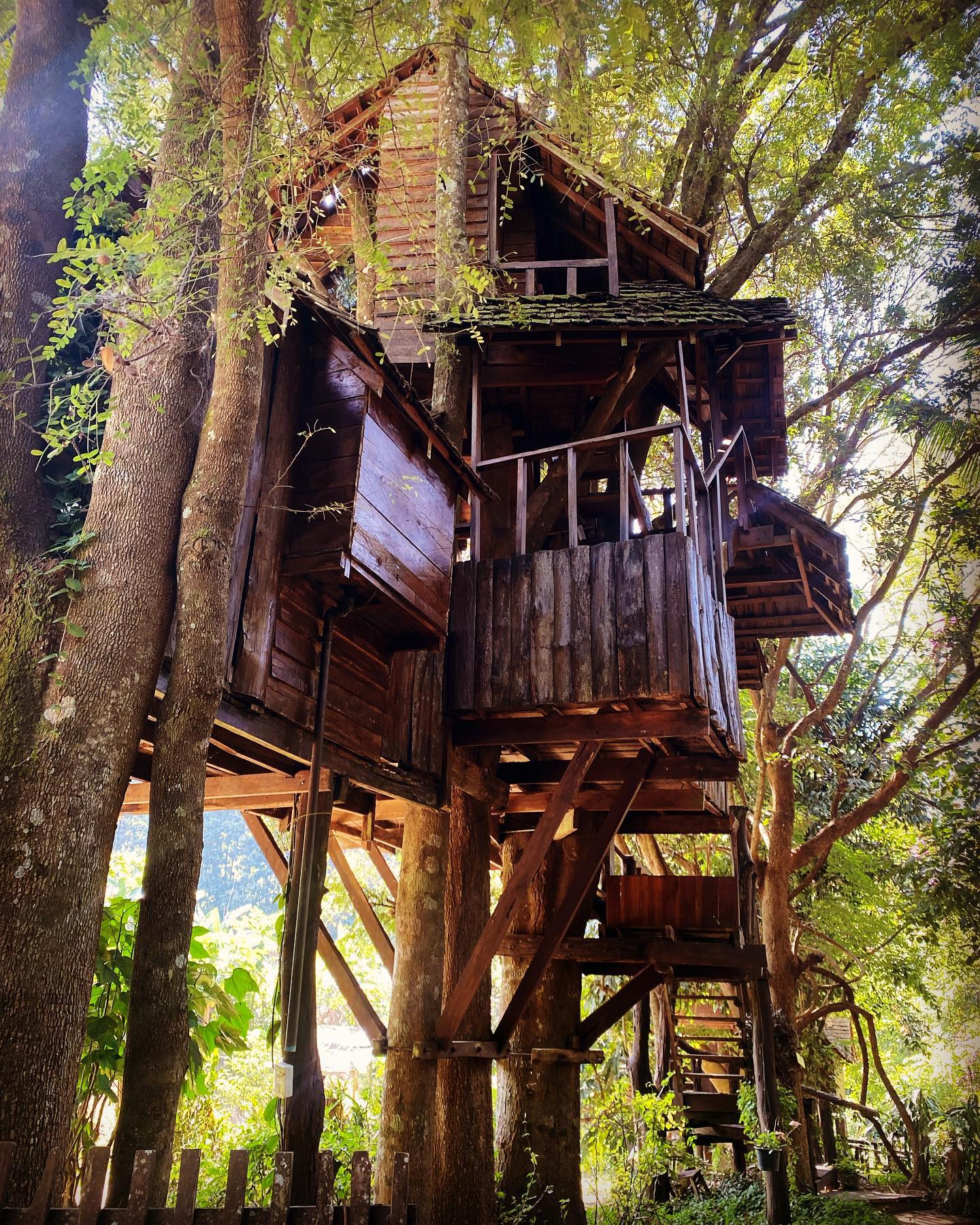 Rabeang Pasak Treehouse Resort