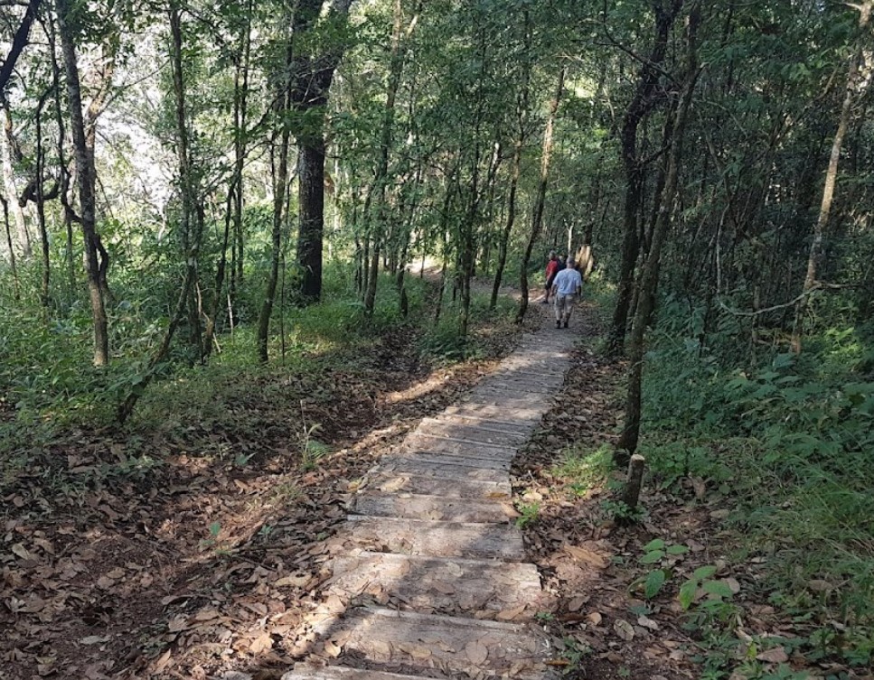 The Highest Point of Doi Pui