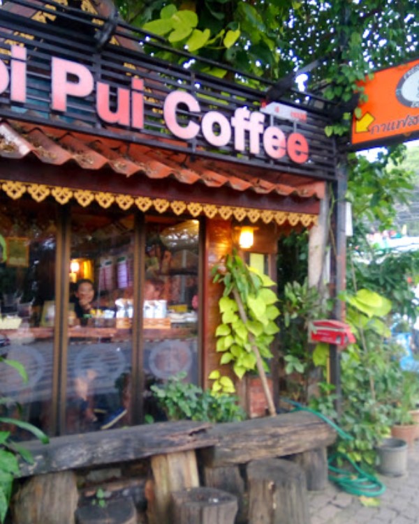 View Coffee Area Hmong Coffee @ Doi Pui