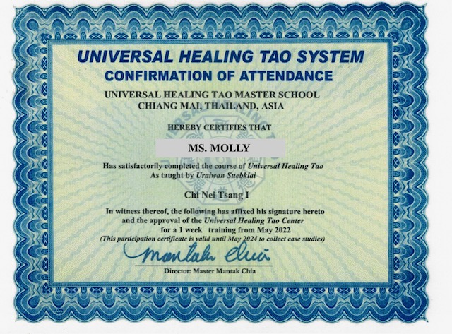 Chi Nei Tsang in Chiang Mai by Ms Molly certified practitioner